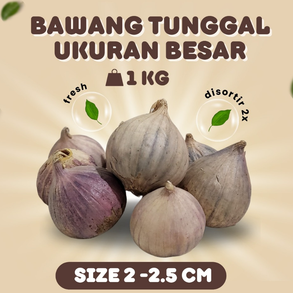 

DSYN1350 Stok terbaru Bawang Putih Tunggal Lanang Besar 1KG
