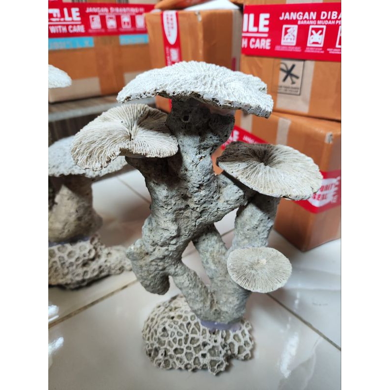 Batu karang rangkai payung anemon dead rock hias aquarium