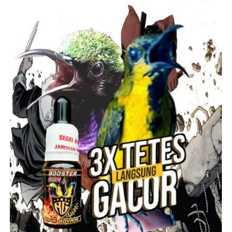 VITAMIN BURUNG KOLIBRI/SOGON/KONIN/DOPING BURUNG KOLIBRI/KONIN/SOGON/PENGGACOR BURUNG KONIN/SEMPATI