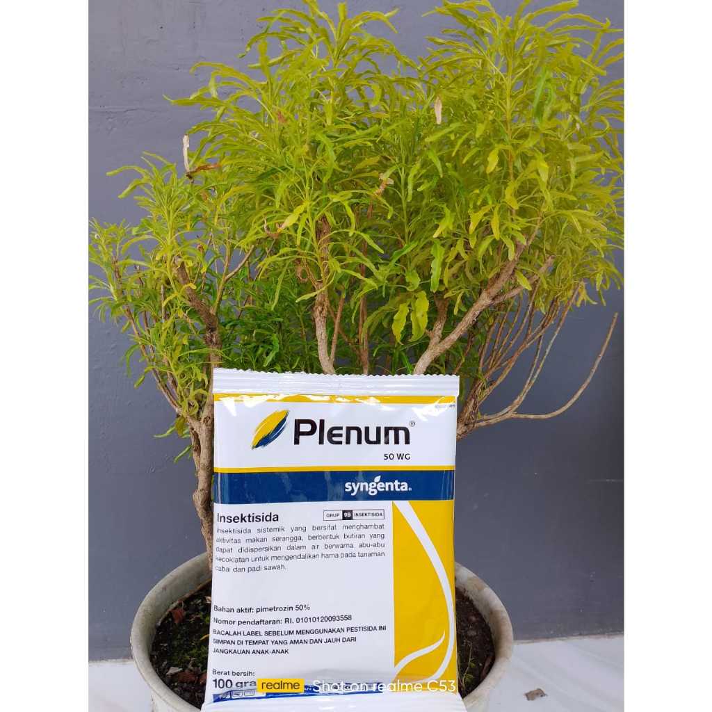 PLENUM 50WG Syngenta 100grm.
