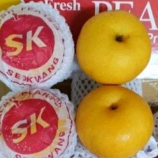 

pir singo SK korea 2pcs 1,2kg