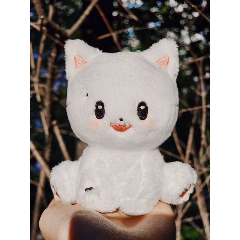 [READY] Renjun Doll Tommyongjun