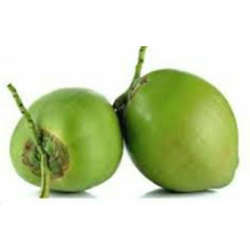 

kelapa muda utuh