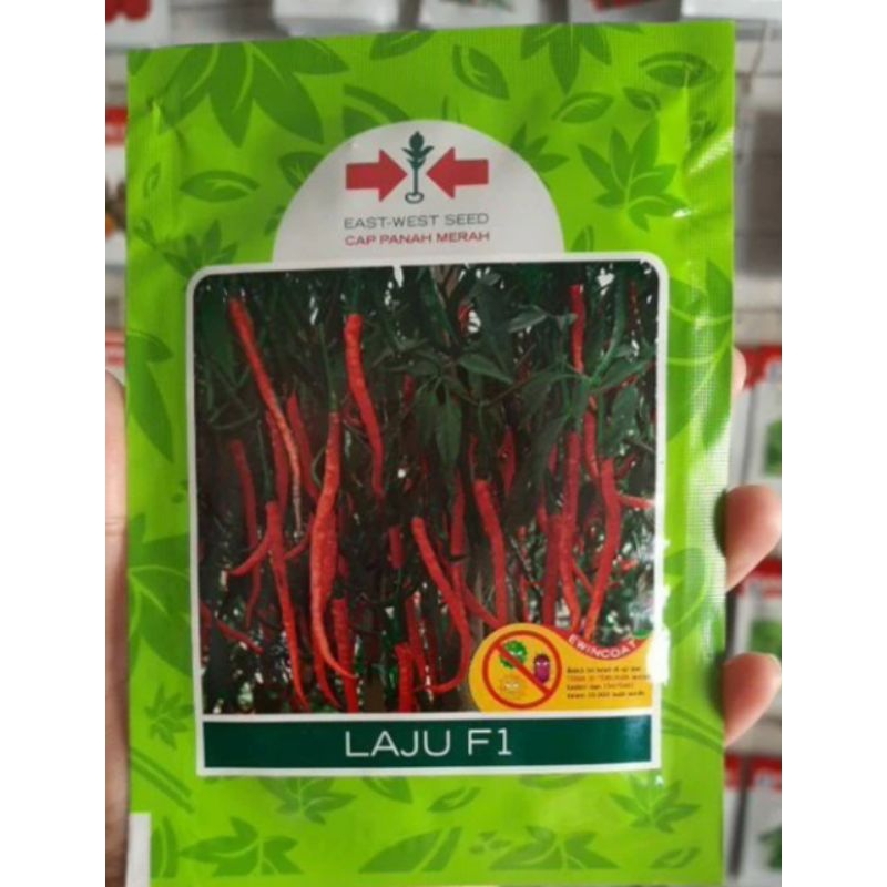 benih/biji cabe keriting LAJU F1 1750 btr