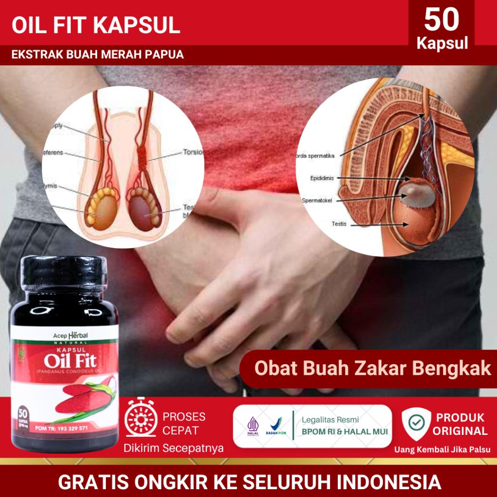 Oil Fit 50 Kapsul - Obat Varikokel, Buah Zakar Bengkak, Buah Zakar Turun Sebelah, Benjolan Pada Kant