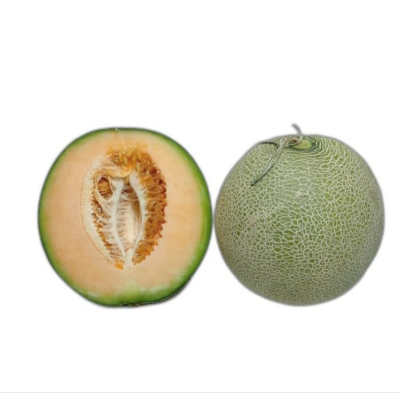 

Melon orange renyah jual perbiji ukuran 1,5kg-1,8kg