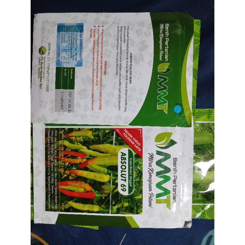 cabe rawit unggul absolut 69