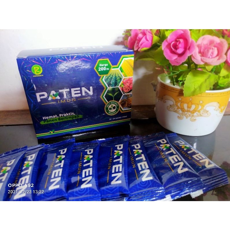 Paten Imun / Imun Paten Original 1 Box Asli