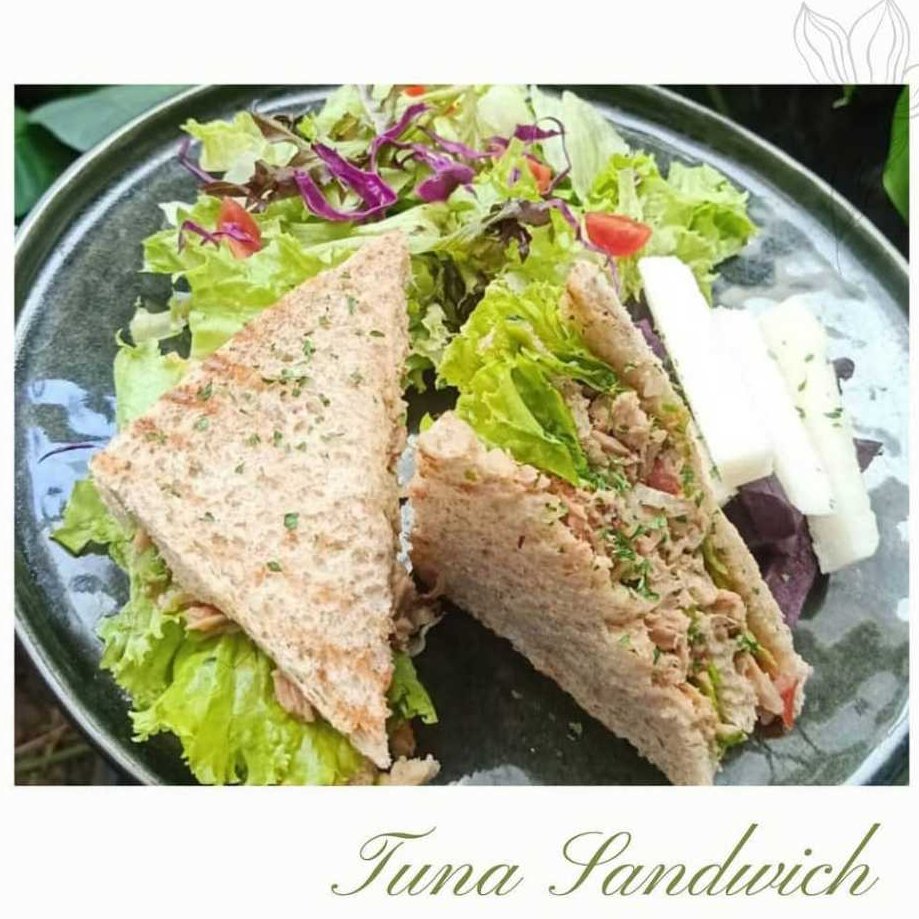 

Makanan Sehat Tuna Sandwich Roti Gandung Makanan Diet Healthy Food