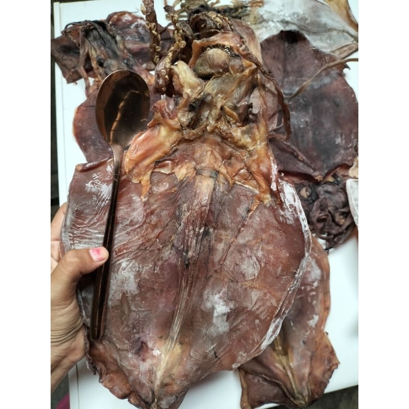 

cumi karang kering