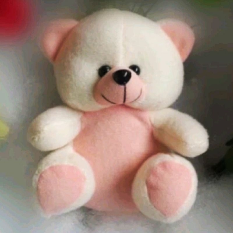 [GROSIR 15] Boneka Beruang Capit Teddy Bear 14 15 CM Mini