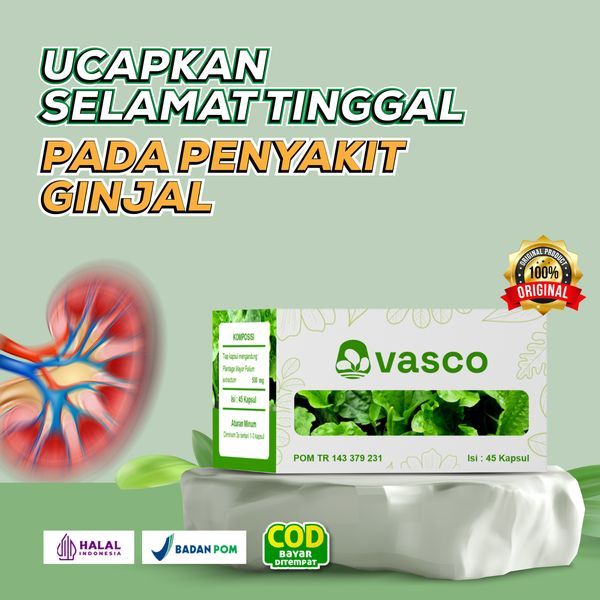 VASCO Obat Ginjal Ampuh | Obat Infeksi Ginjal | ISK Infeksi Saluran Kencing Kemih | Obat Batu Ginjal