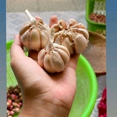 

Bawang Putih Fresh 1kg Super