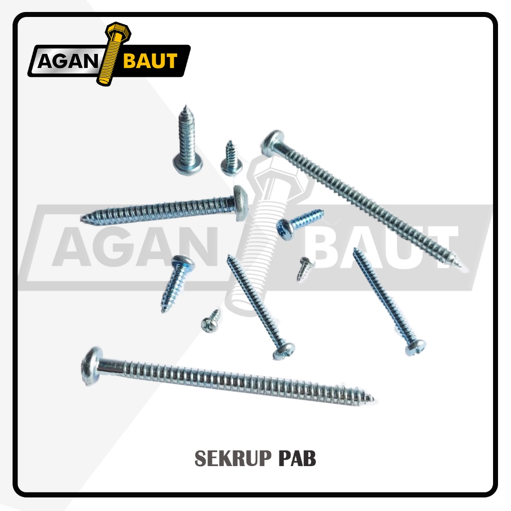 Sekrup / Skrup PAB 10x2 (5.08 cm) KEPALA BULAT (+)