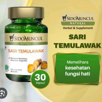 sari temulawak sidomuncul