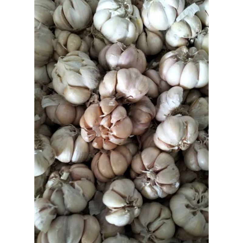

bawang putih 250 gr