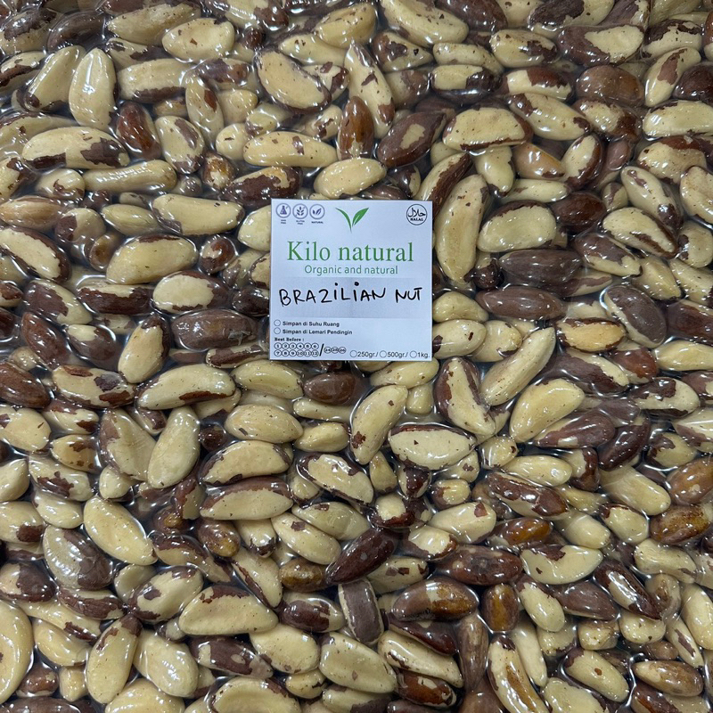 

Kacang Brazil Mentah 500gr / Raw Brazil Nuts 500gr