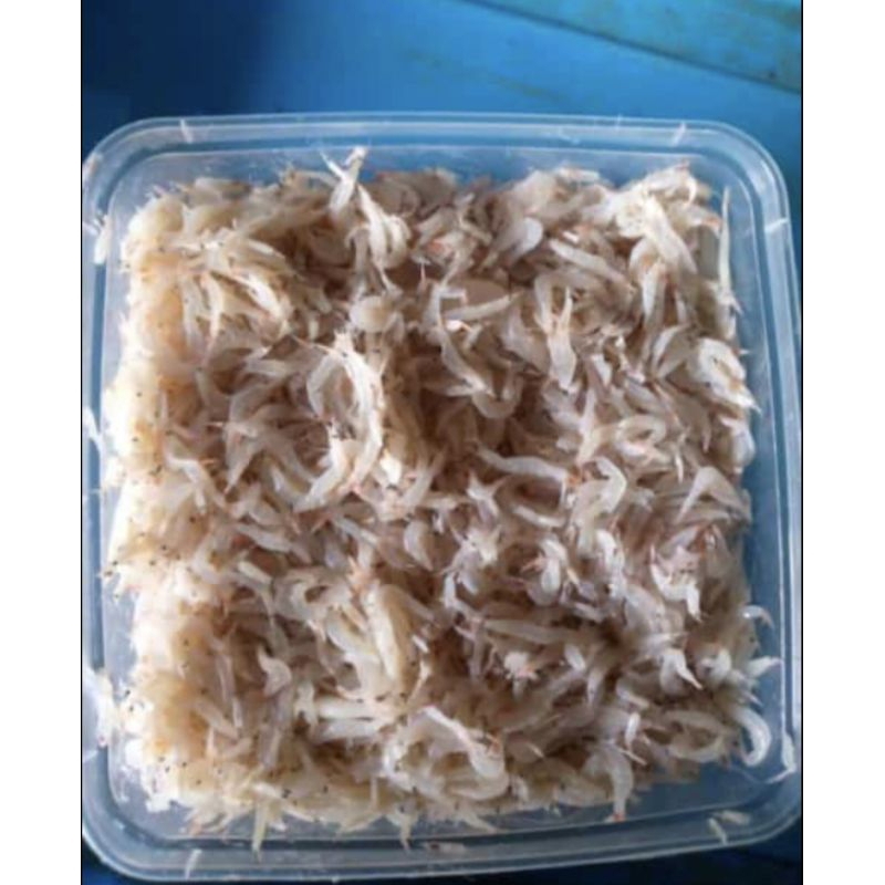 udang rebon jumbo basah fresh