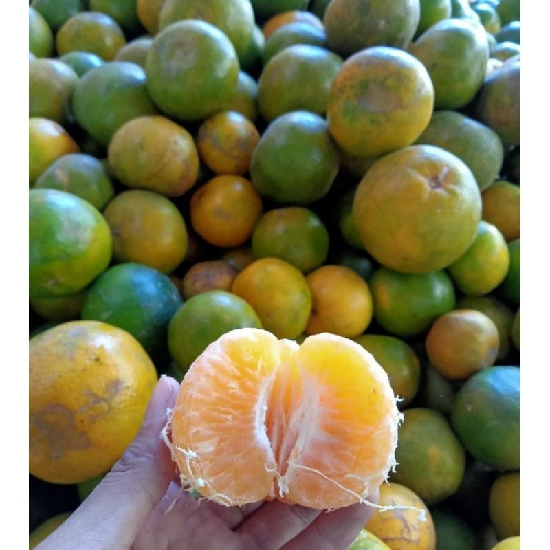 

JERUK SIAM MADU 1KG/JERUK LOKAL SUPER 1KG FRESH