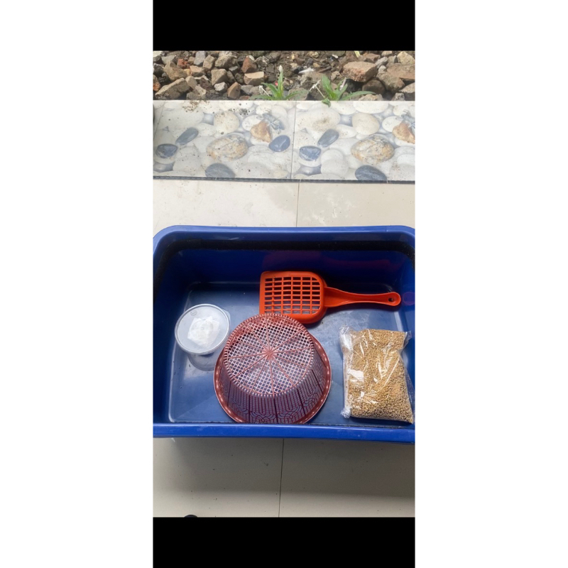 Box Budidaya Maggot BSF