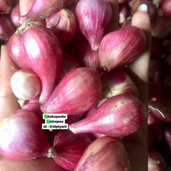 

Bawang merah sedang 1kg