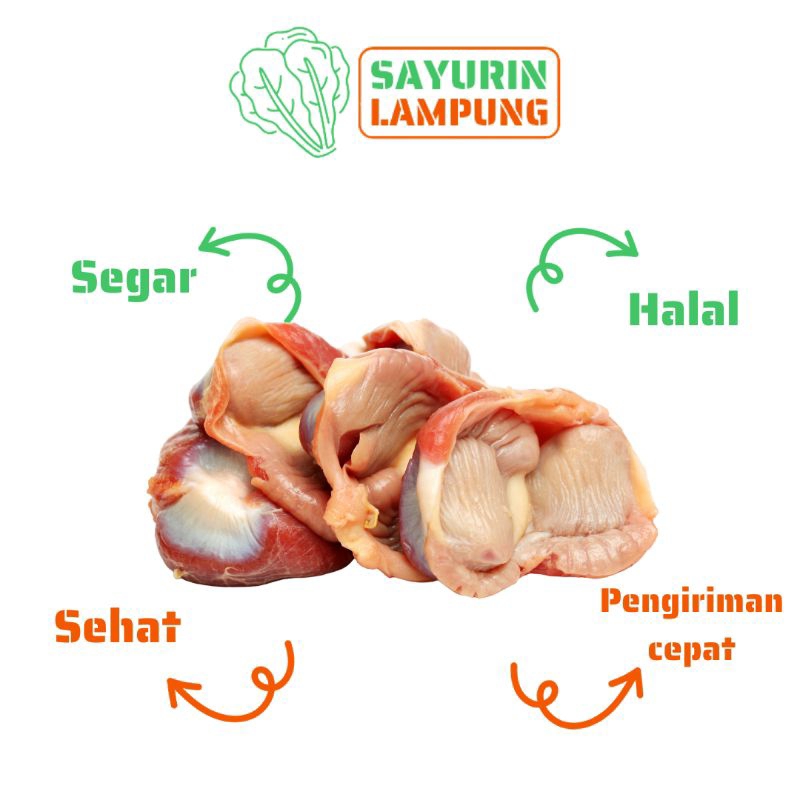 

ampela ayam broiler 5 pcs - SAYURin LAMPUNG