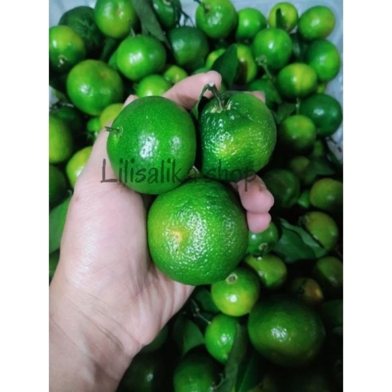 

JERUK SANTANG MADU IMPORT