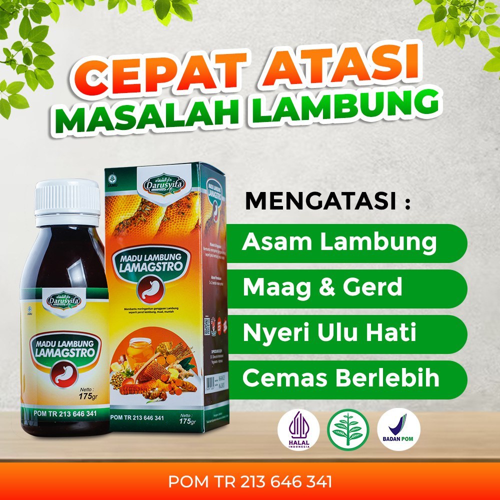 Madu Lambung Darusyifa Lamagstro Madu Lambung Herbal Obat Gerd Asam Lambung Kronis Original