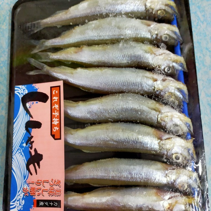 

RB Ikan shisamo betina super isi 8 ekor per pack berat 150 -170 gram