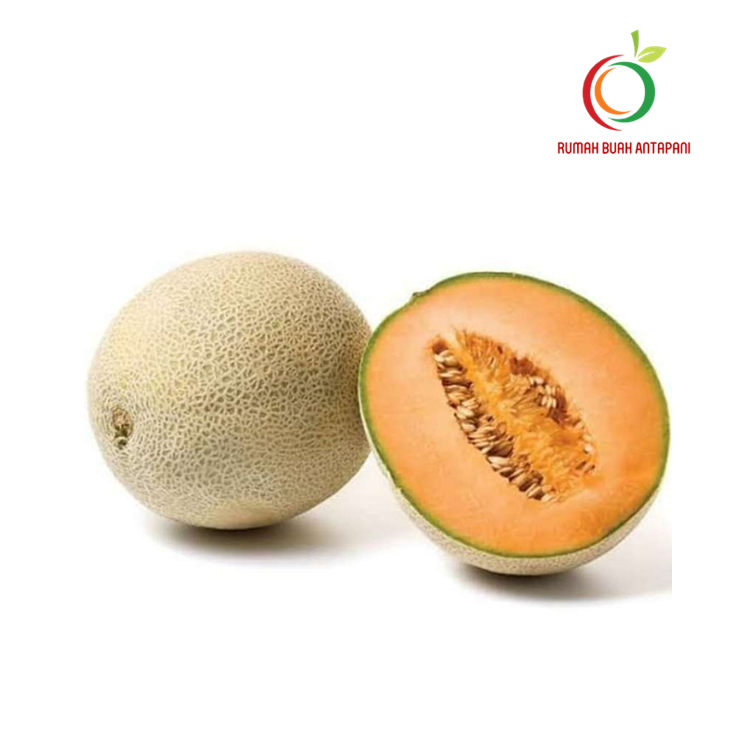 

Melon Orange Cantalopue (Rock Melon)