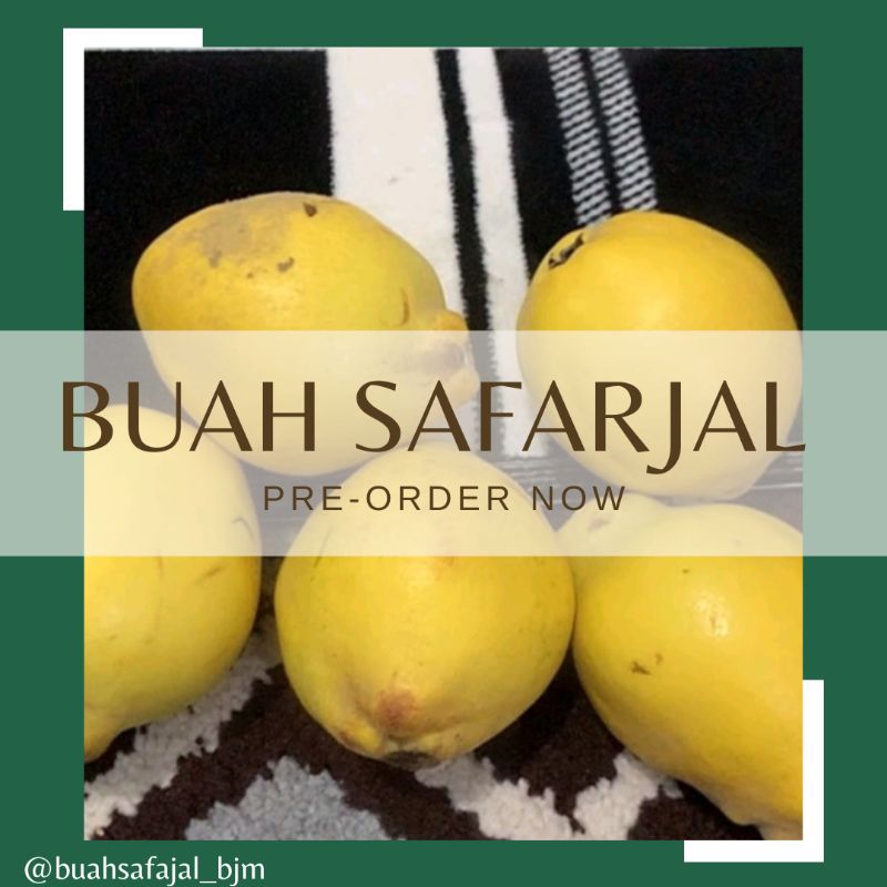 

Buah Safarjal Buah Quince - per 1 biji / per 1 buah