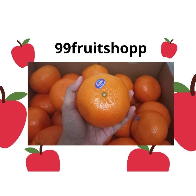 

Jeruk Honey murcot super Australia 9 kg