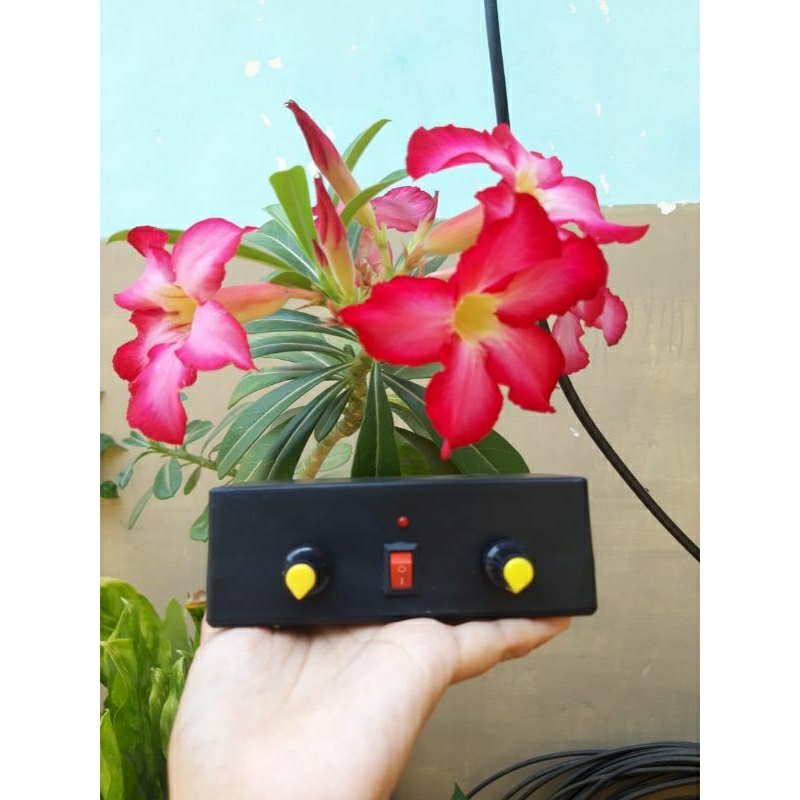 POWER AMPLI MINI 12 VOLT 2 CHANNEL VOLUME AUDIO MOBIL TRUK BUS DAYA AKI MINIATUR SOUND SYSTEM