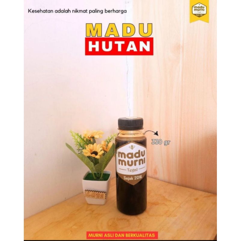 

madu hutan madu murni madu asli