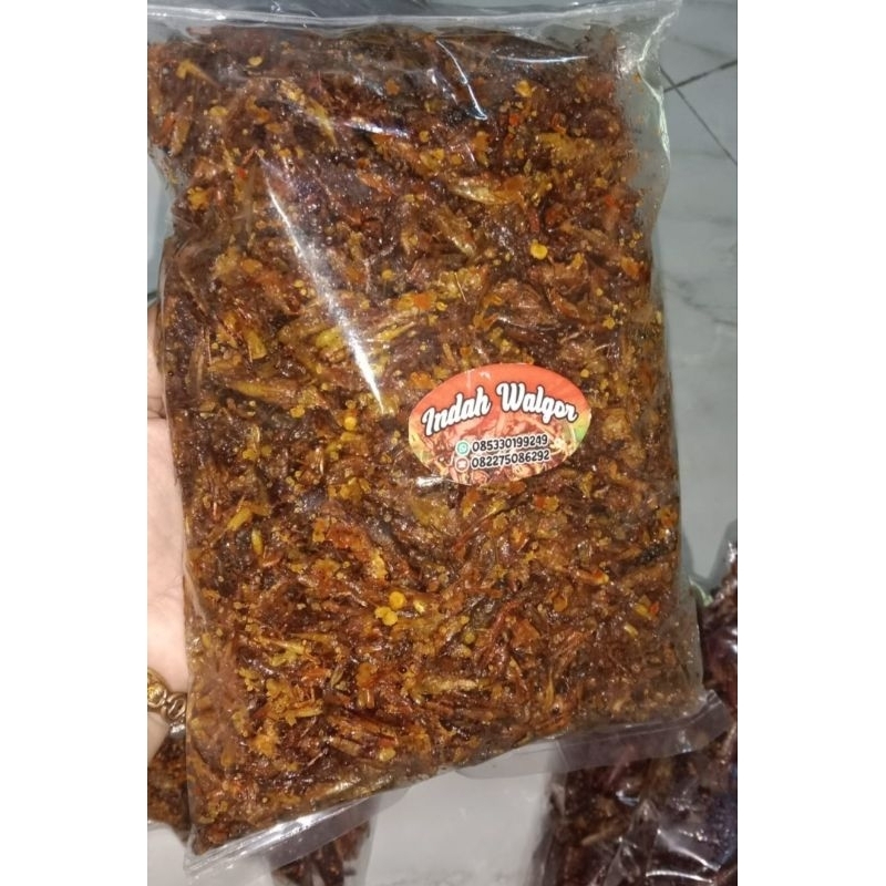 

Belalangutes,Belalangkecil,Belalanggurihkriyuk