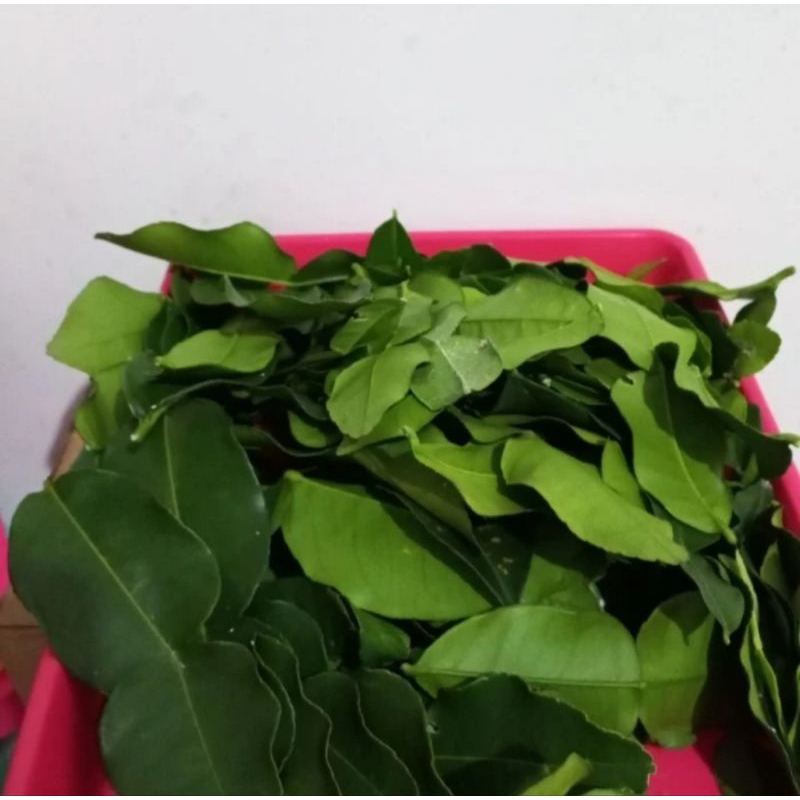 

Daun Jeruk Purut Fresh 25 gram