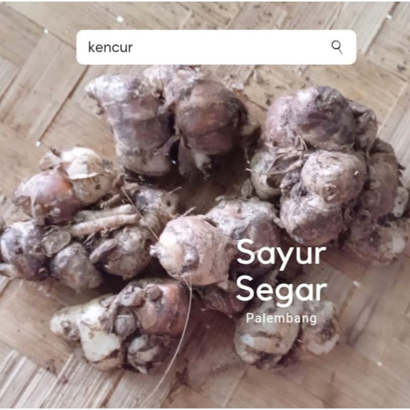 

Kencur Segar per 100 gr Sayur Segar Palembang