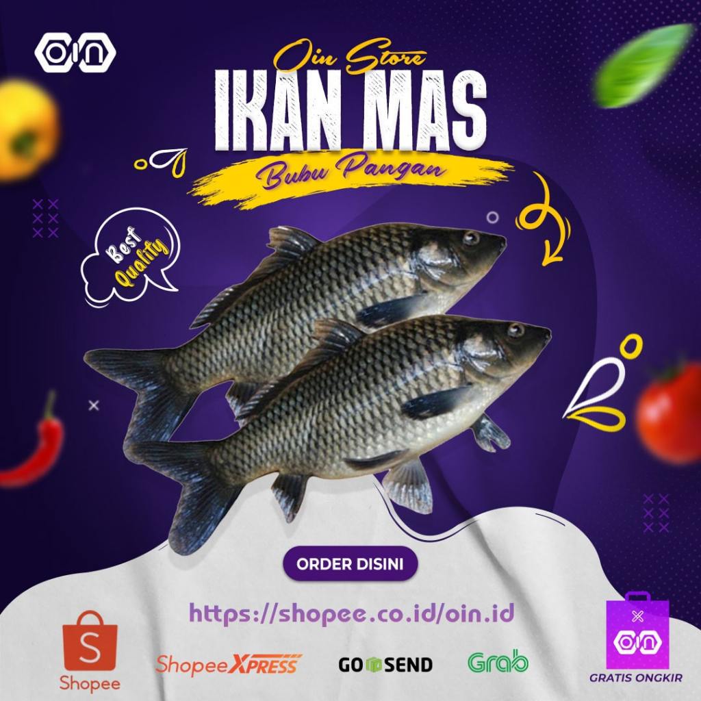 

Ikan Mas Segar 500 Gram Ikan Segar Bogor - Termurah - BoobonFood