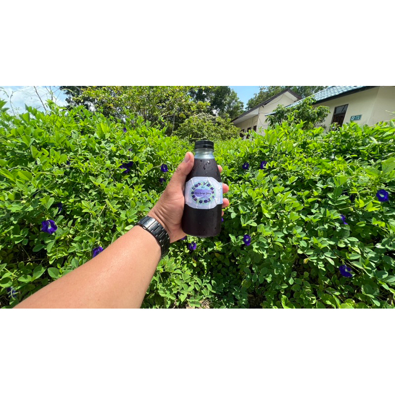 

butterfly pea sirup / sirup bunga telang 350ml tanpa pewarna tanpa pemanis buatan