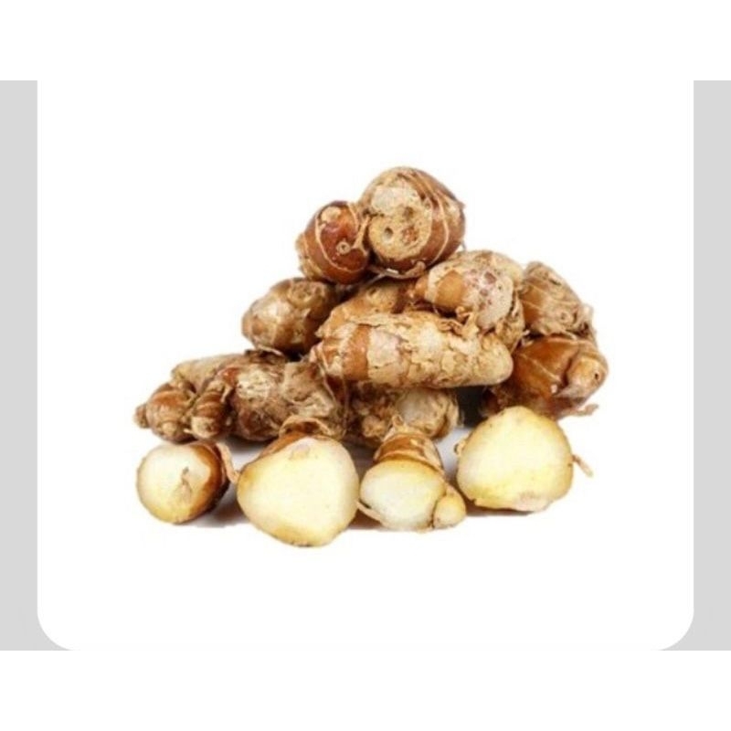 

KENCUR 100grm/ KENCUR REMPAH TRADISIONAL / CIKUR 100grm