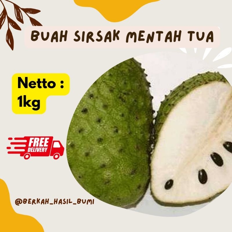 

buah sirsak mentah tua 1kg