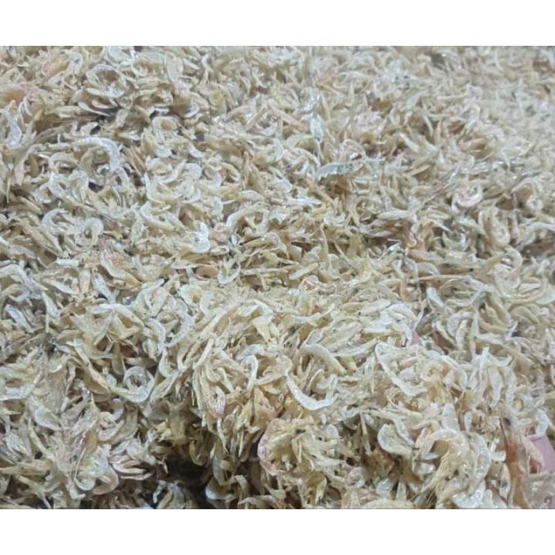 

Rebon udang kering