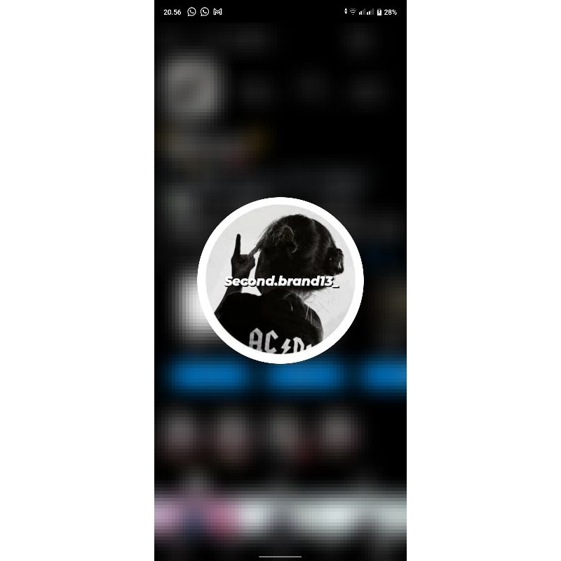 Secondbrand13_