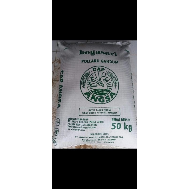 POLLARD GANDUM CAP ANGSA