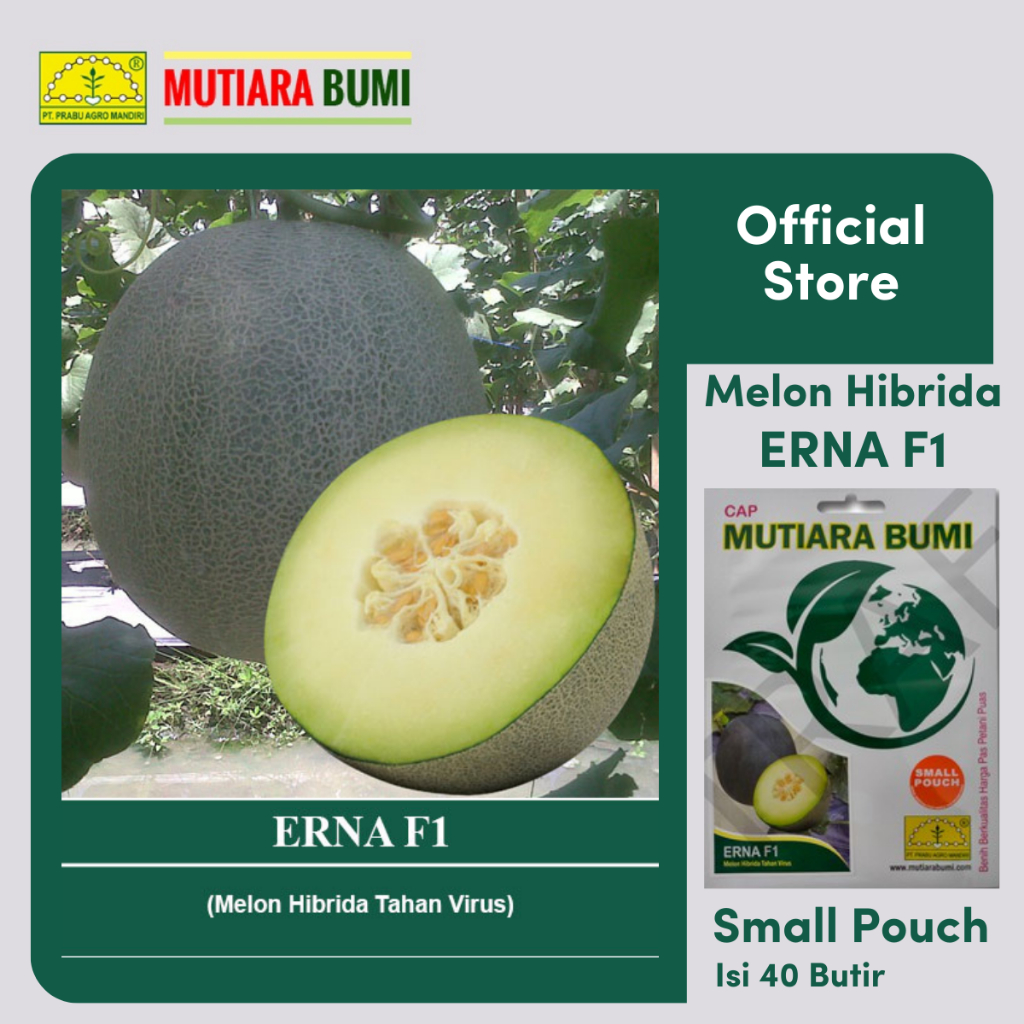BENIH MELON ERNA HIBRIDA TAHAN VIRUS SMALL POUCH ISI 40 BUTIR CAP MUTAIRA BUMI