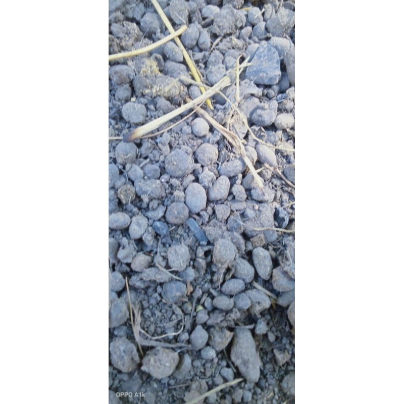 pupuk organik / kompos