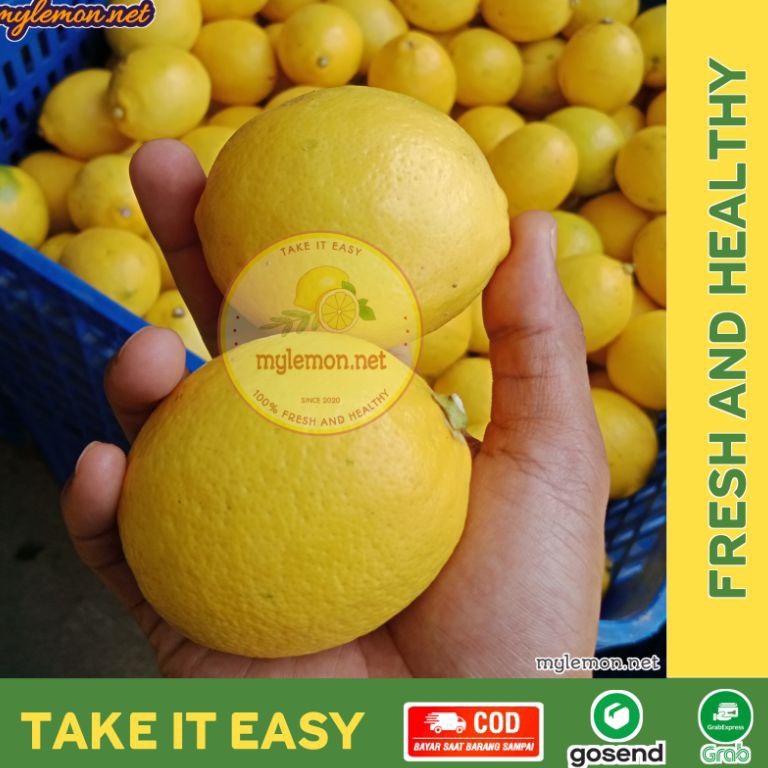 

COD✅ TERMURAH✅ Lemon California Fresh 1 Kg / 1000 gram Isi 8-13 | Cocok Untuk Infused Water | [MYLEMON.NET]