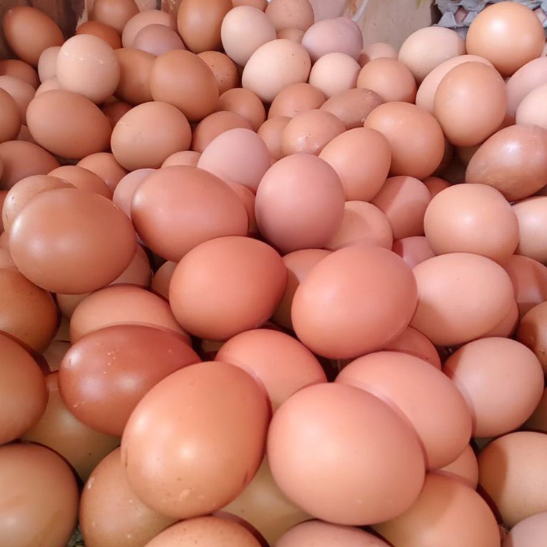 

✔️Splash⚡ TELUR AYAM NEGERI PER 1 KG