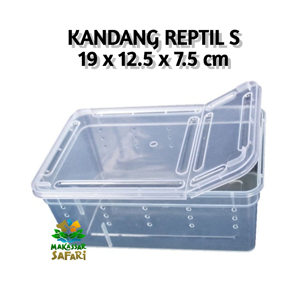 Kandang Reptil Size S Small Reptile Box Gecko Kotak Tarantula Nomoy H3