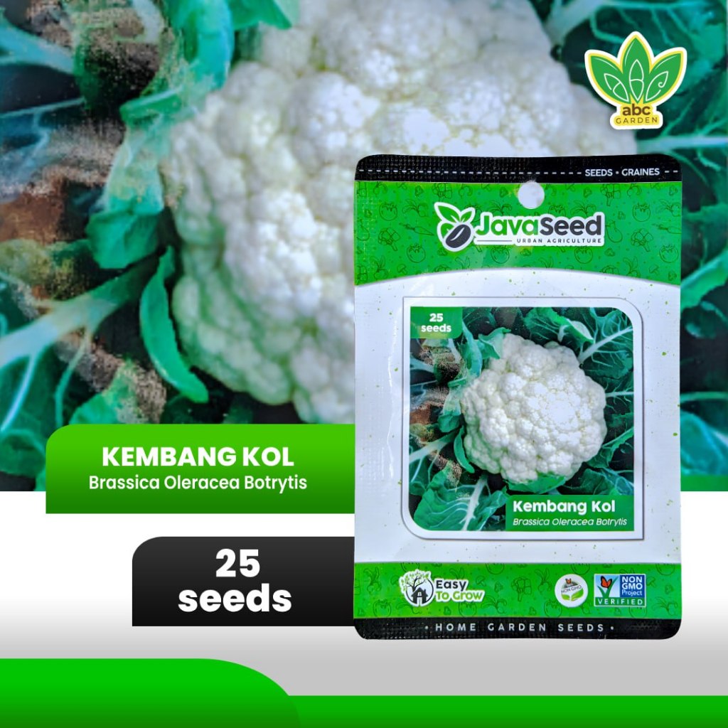 [25 seeds] Benih Kembang Kol Bunga Kol